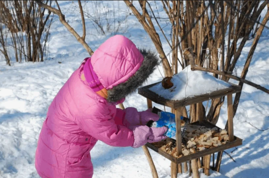 Кормушка для птиц. фото из открытого источника