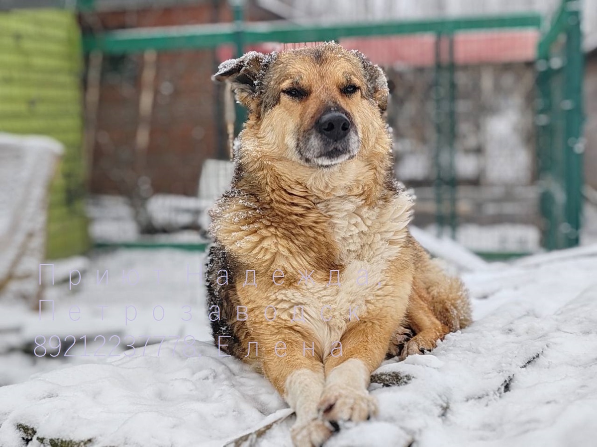 Какая я ж красивая, кому же я достанусь.