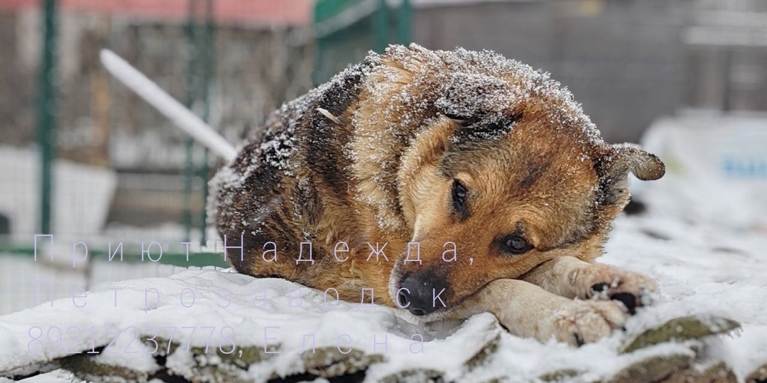 Бусинка ждет.