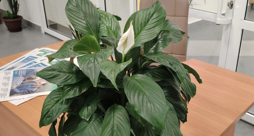    фото из архива редакции