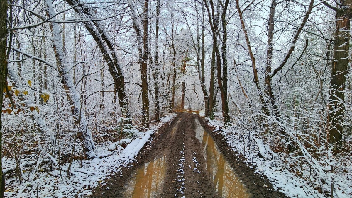 Фото: Александр Сементин 