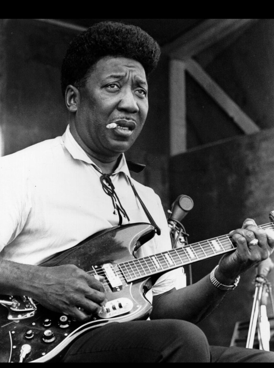 Muddy Waters