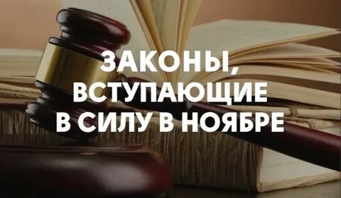 Законы ноября 2025