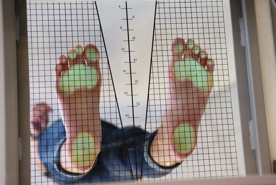    Автор фото: Monika Olszewska/Shutterstock/FOTODOM