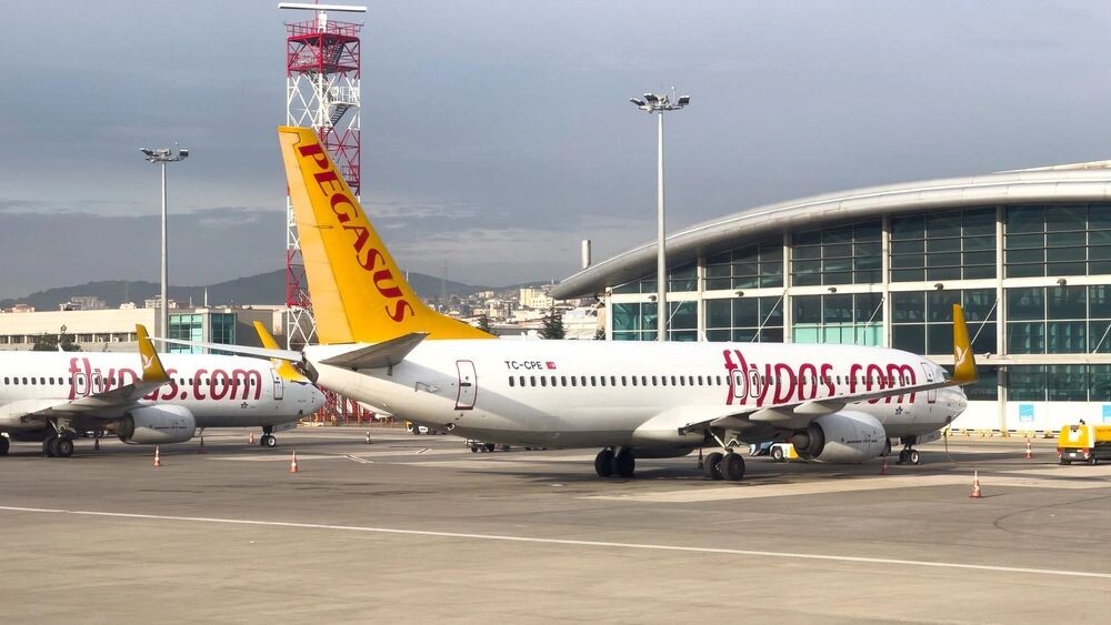    Фото: stockwars/Shutterstock/Fotodom