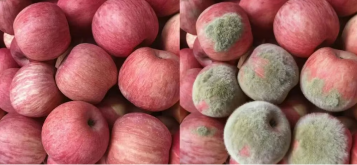 Как вы понимаете, это поддельная нероплесень