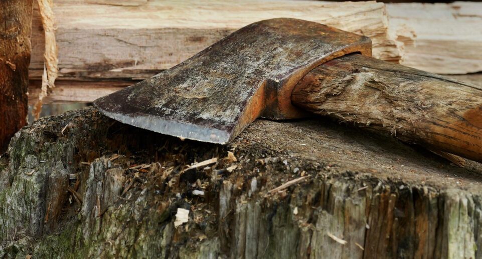    Wolfram Steinberg/dpa / www.globallookpress.com