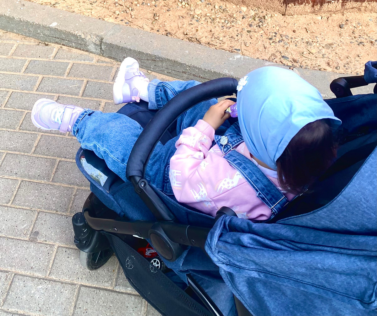 Для прогулок по зоопарку и я сейчас вы предпочла коляску)