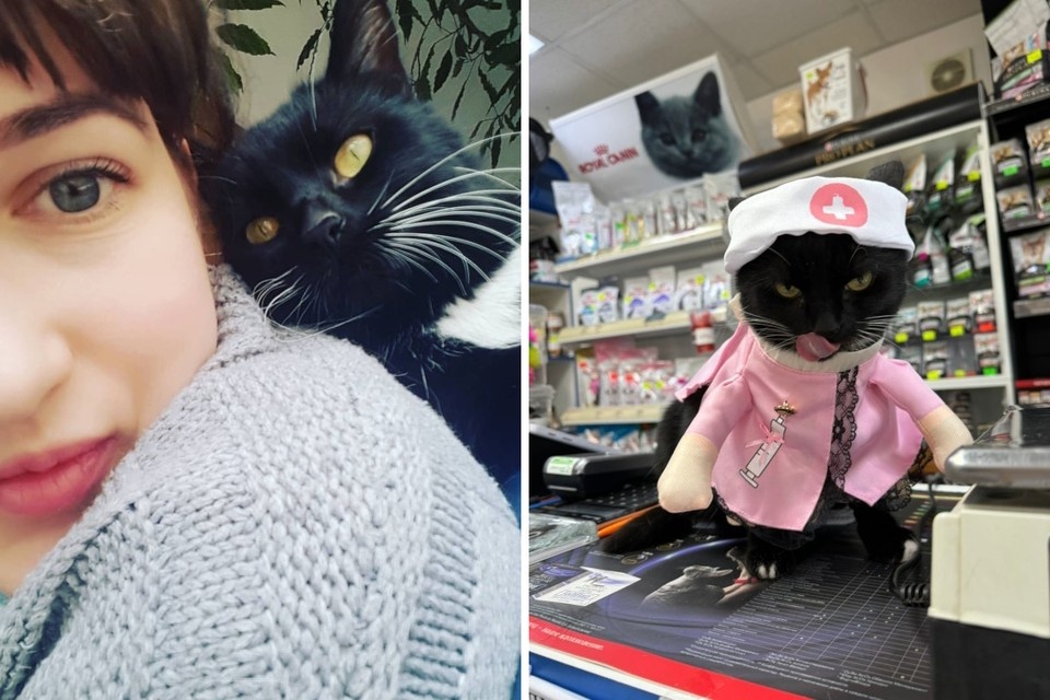 Шкоду выхаживали всем коллективом ветклиники, и теперь она выполняет обязанности котоглавврача. Фото: Алина Сафронова