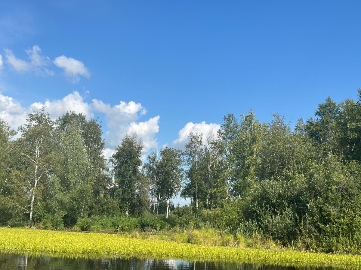 Фотография автора. 