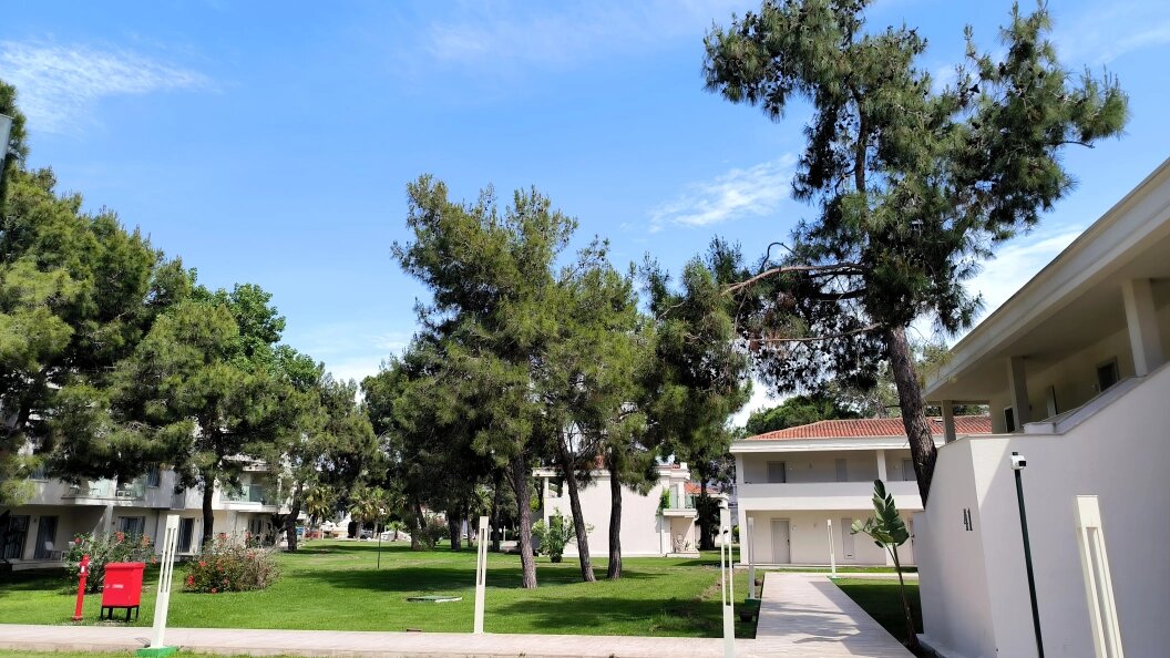    © Maksim Konstantinov/Globallookpress