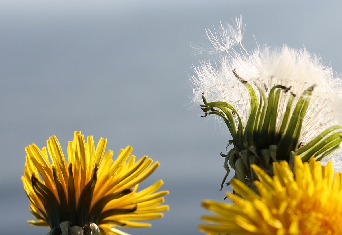 Фото из личного фотоархива
