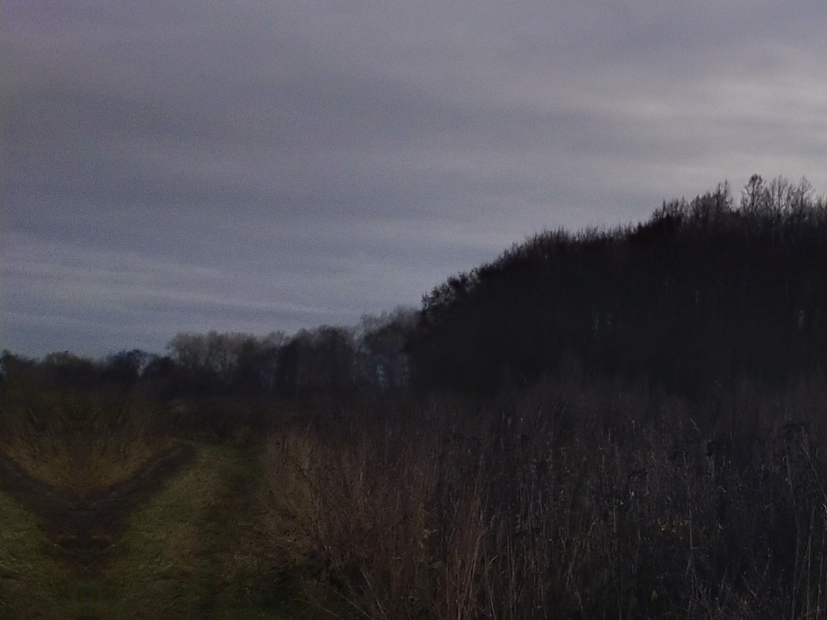 Личное фото