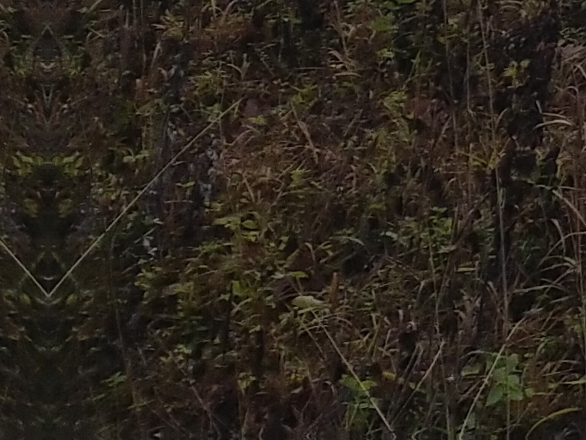 Личное фото