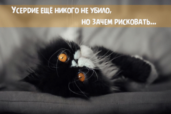 Усердие ещё никого не убило, но зачем рисковать.