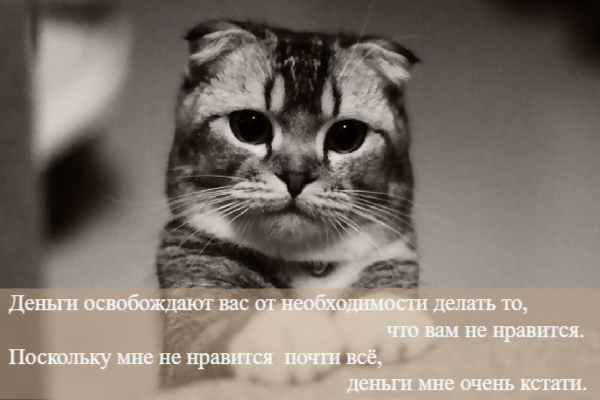 Деньги освобождают вас от необходимости делать то, что вам не нравится.