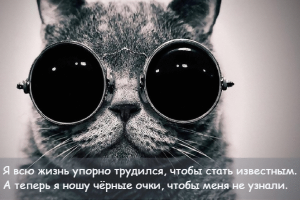 Я всю жизнь упорно трудился, чтобы стать известным.