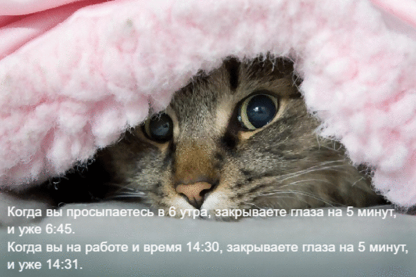 Когда вы просыпаетесь в 6 утра.