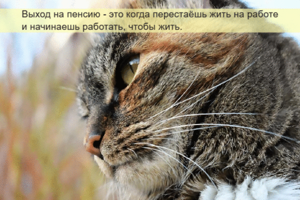 Выход на пенсию, это когда перестаёшь жить на работе