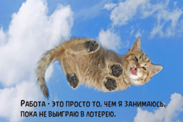 Работа, это просто то, чем я занимаюсь.