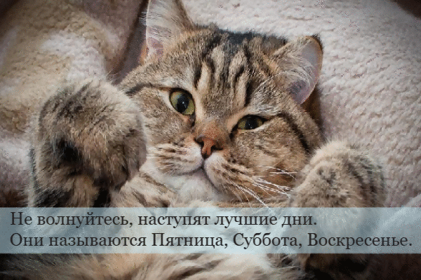 Не волнуйтесь, наступят лучшие дни.