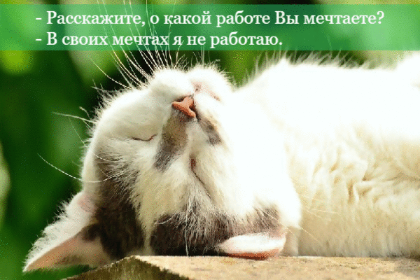 В своих мечтах я не работаю.