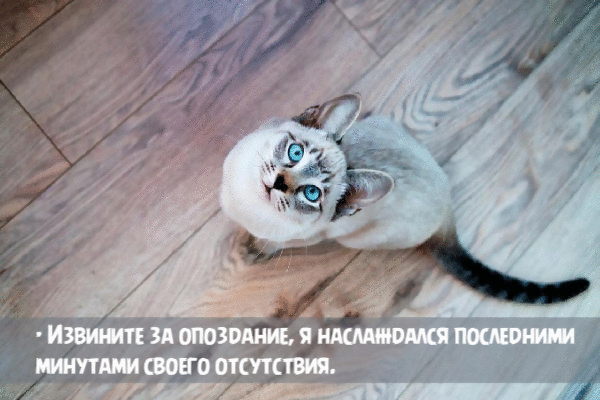 Извините за опоздание.