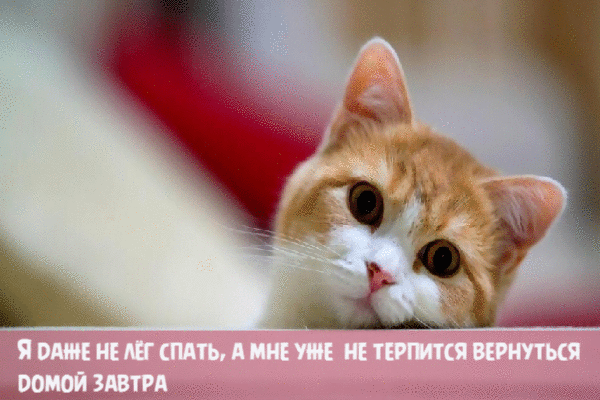 Я даже не лег спать.