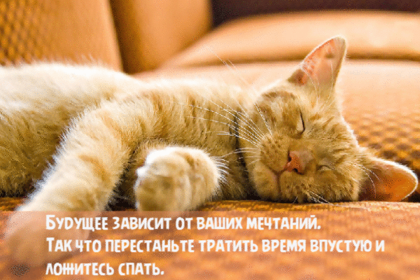 Будущее зависит от ваших мечтаний.