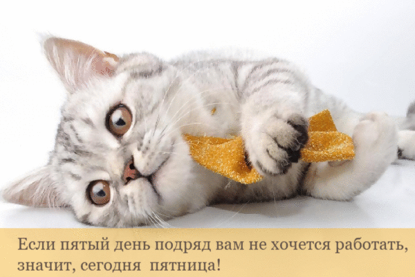 Значит, сегодня пяттница!