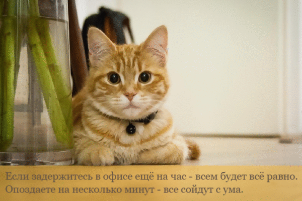 Если задержитесь в офисе.