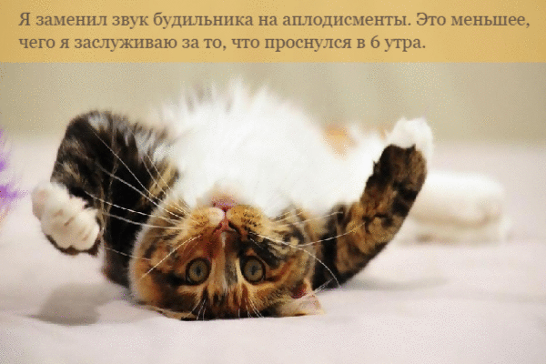 Я заменил звук будильника на аплодисменты.