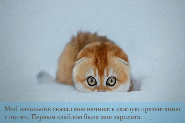 Первым слайдом была моя зарплата.