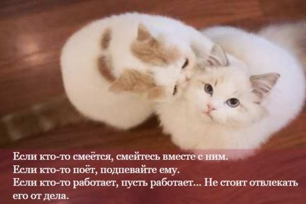 Если, если, если...