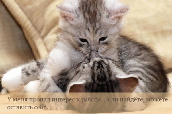 У меня пропал интерес к работе.