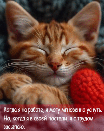 Когда я на работе, я могу мгновенно уснуть.