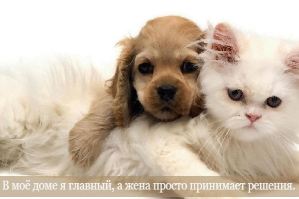 В моем доме я главный.