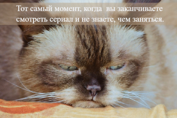 Не знаете, чем заняться.