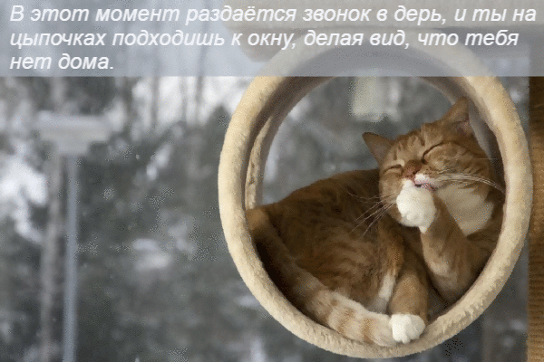 Тебя нет дома.