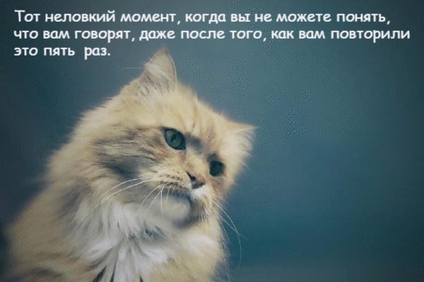 Вам повторили это пять раз.