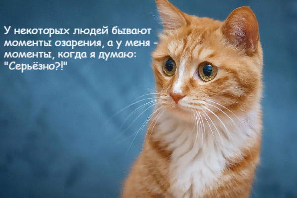 Я думаю: "Серьезно?"