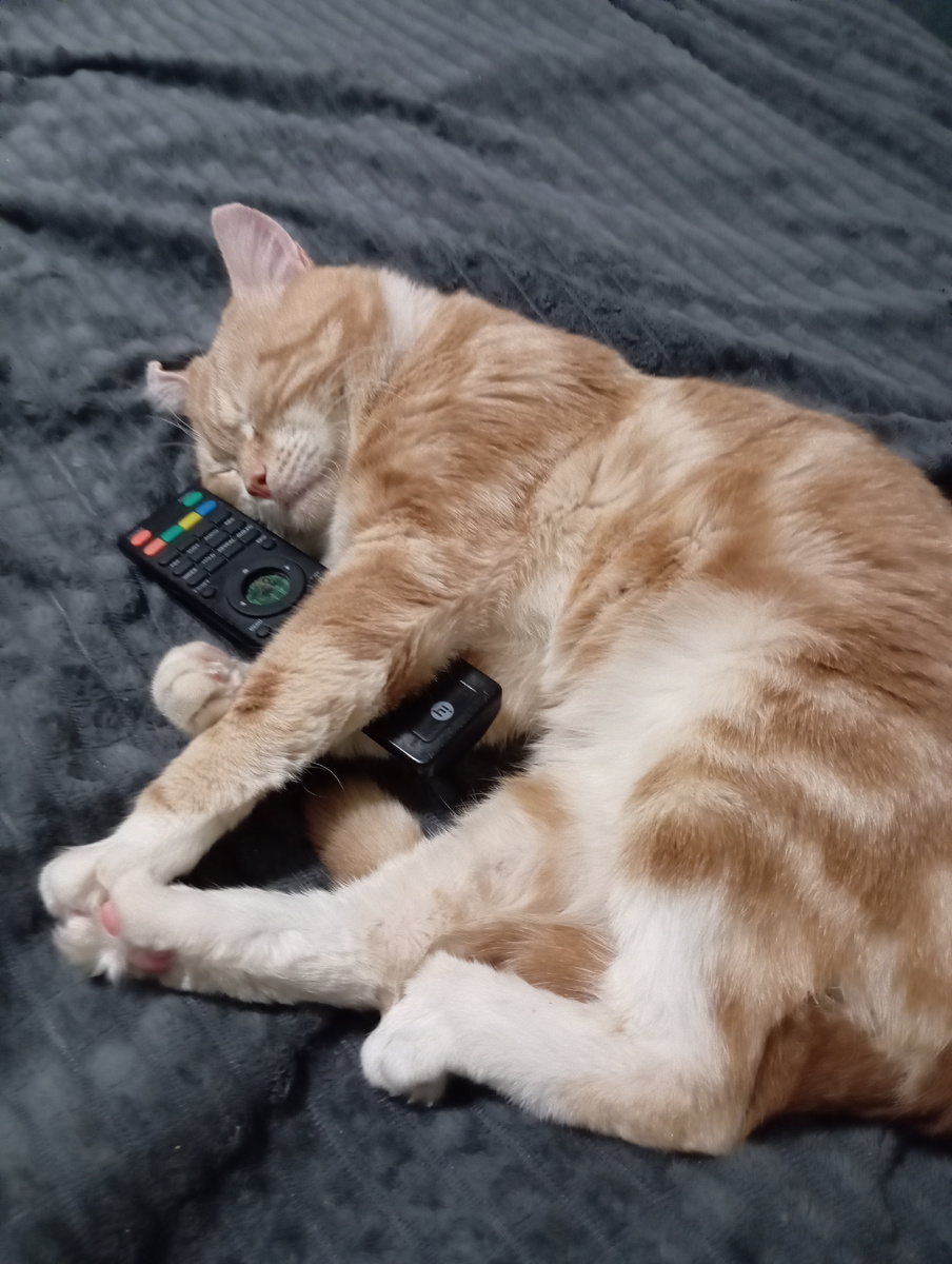 Кому на Руси жить хорошо.