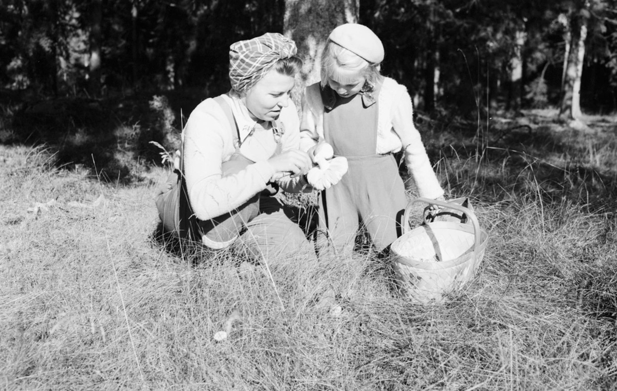 Фото из группы ВК  "Музей Грибов. Санкт-Петербург"