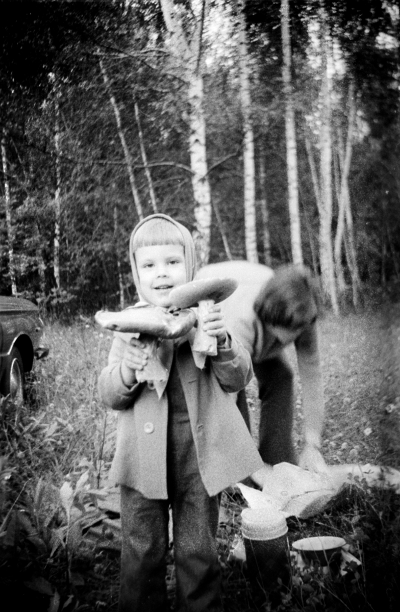 Фото из группы ВК  "Музей Грибов. Санкт-Петербург"