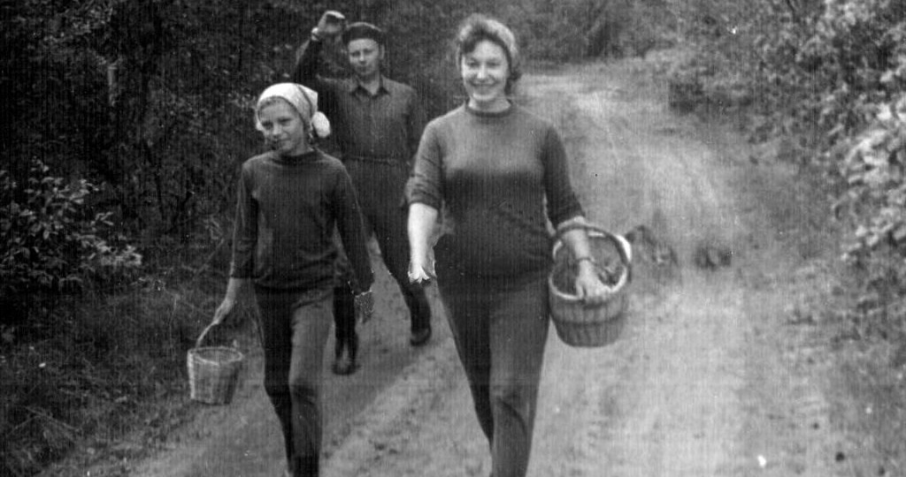 Неужели это всё – моё? Про грибы московские и подмосковные