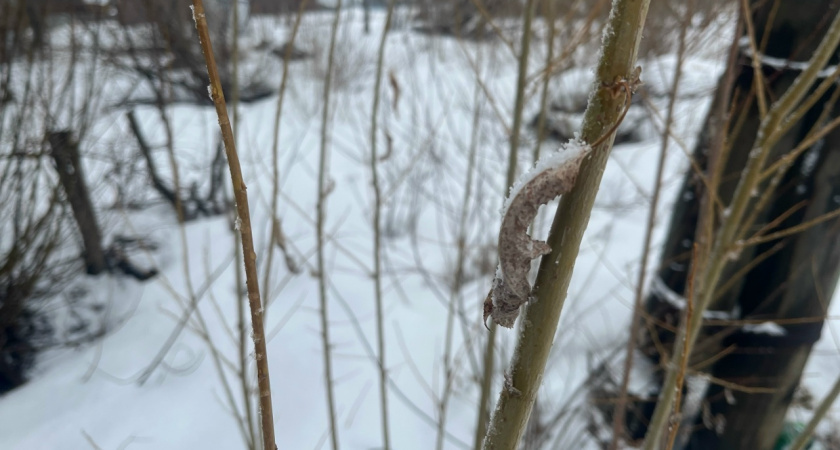    Фото из архива редакции