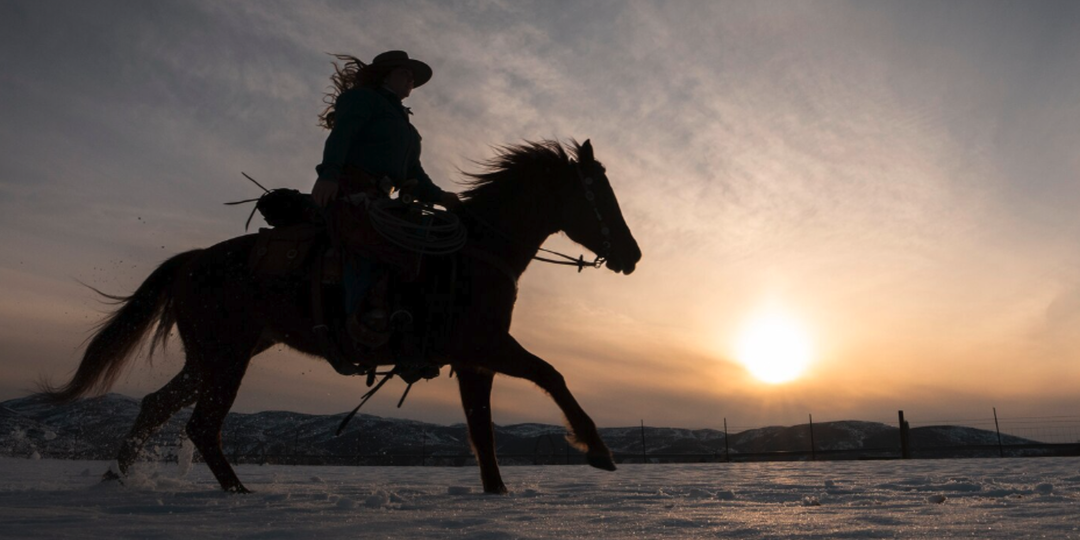Не злите Огненную Лошадь: как правильно готовиться встречать Новый 2026 год, чтобы привлечь удачу