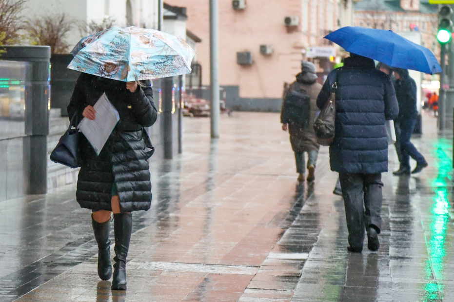    Наталья Шатохина/NEWS.ru