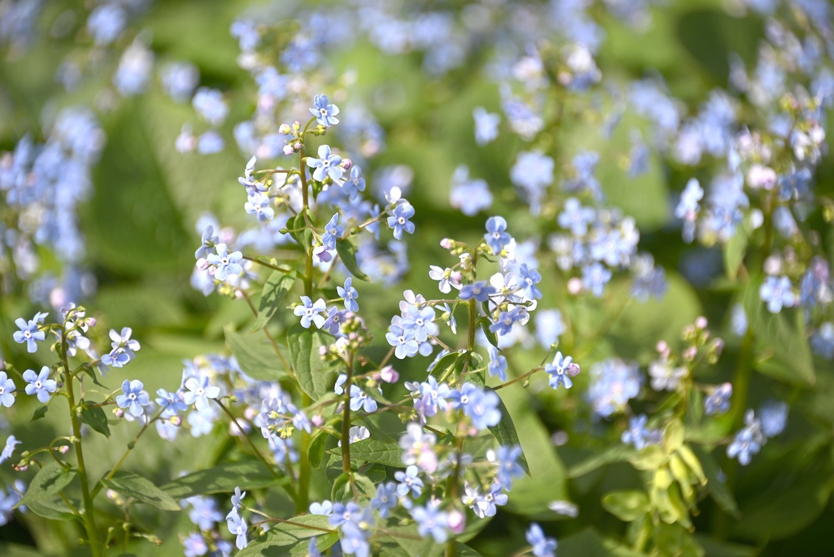     Фото: Кирилл Каллиников/ РИА Новости