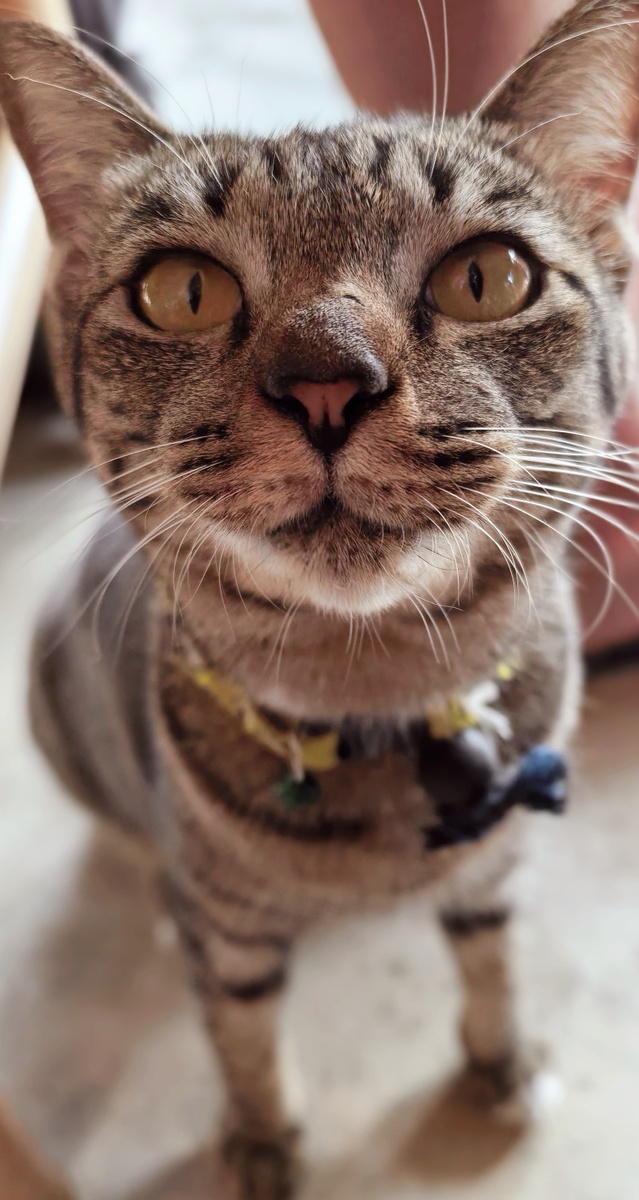 Фото из личного архива автора